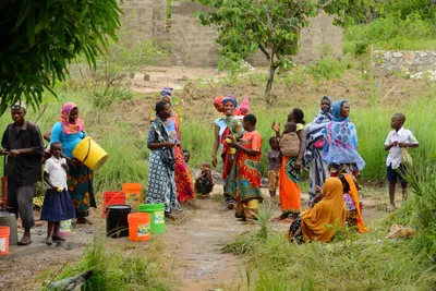 DSC_9593 (Large).JPG